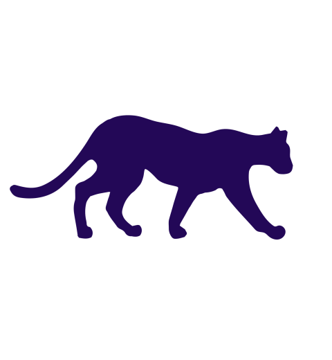 Novafy: 100% Remote – Microsoft Power Platform Developer (Model Driven Power Apps / Dynamics 365 CRM)